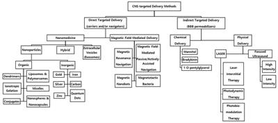 Transnasal targeted delivery of therapeutics in central nervous system diseases: a narrative review